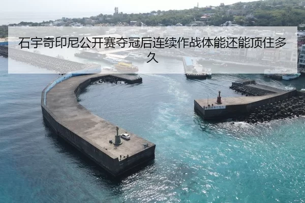 石宇奇印尼公开赛夺冠后连续作战体能还能顶住多久 - YABO SPORTS