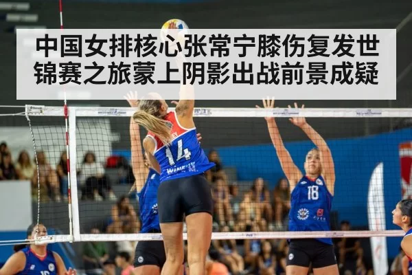 volleyball match action